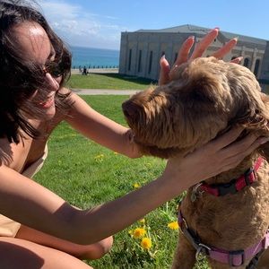 Meet your Posher, Molly